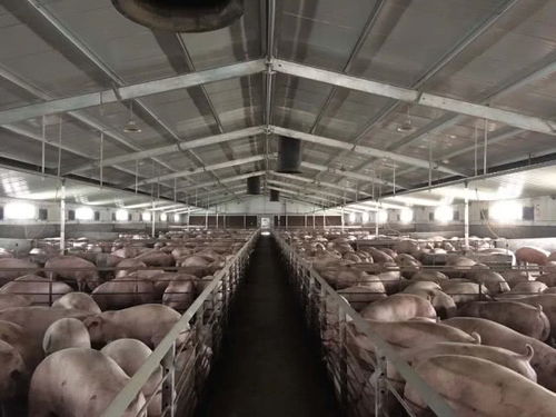 重慶農商行 足額信貸 不斷檔 助力百姓日常生活物資供應 不掉鏈