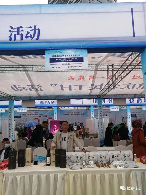 四川省參加 重慶市農民工日 活動返鄉(xiāng)創(chuàng)業(yè)產品展