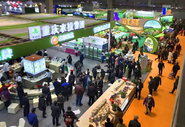 西部農交會開幕 6500多種農產品等你一站購年貨