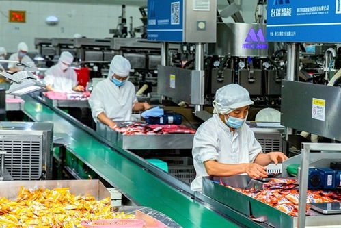 從 會海突圍 到 服務上岸 北碚以高質量黨建統(tǒng)領改革與發(fā)展