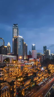 高考生物最全知識(shí)點(diǎn)匯總 一輪復(fù)習(xí)首選指南（重慶適用）